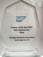 SAP Business One 最佳業(yè)績貢獻獎
